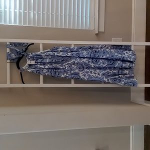 Ann Taylor dress. Brand new. XL. Blue and white.